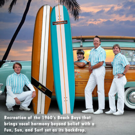 Catch A Wave: The Beach Boys Show